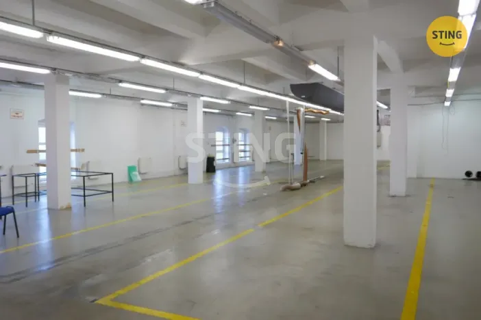 Pronájem výrobních prostor, Opava, Rybářská, 694 m2