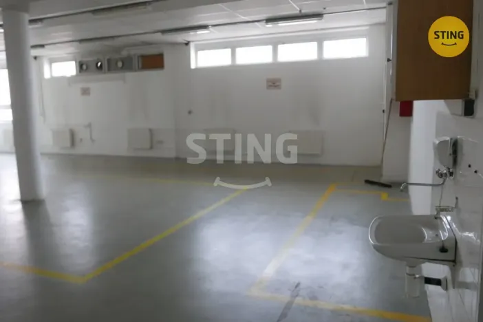 Pronájem výrobních prostor, Opava, Rybářská, 694 m2