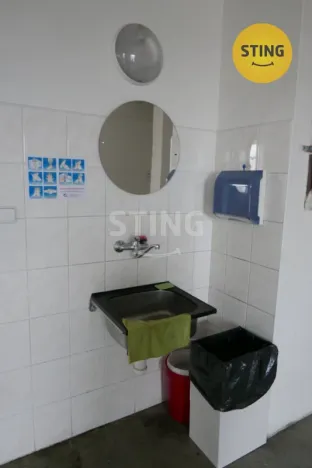 Pronájem výrobních prostor, Opava, Rybářská, 694 m2