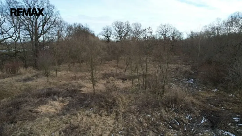 Prodej komerčního pozemku, Polom, 40000 m2