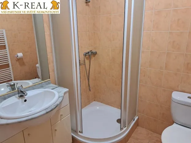 Pronájem bytu 1+kk, Jámy, 30 m2