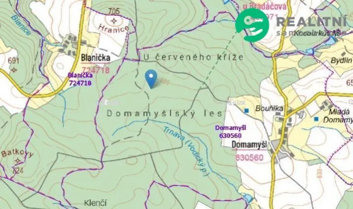 Prodej lesa, Vodice - Domamyšl, 24564 m2