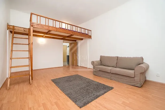 Pronájem bytu 4+kk, Praha - Žižkov, Sudoměřská, 90 m2