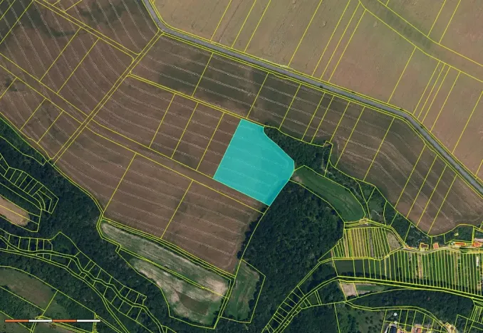 Prodej pole, Hluboké Mašůvky, 38229 m2