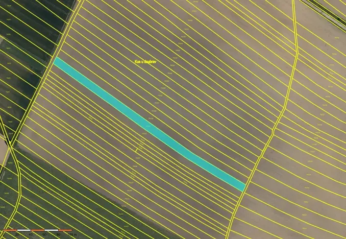 Prodej pole, Skoronice, 10065 m2