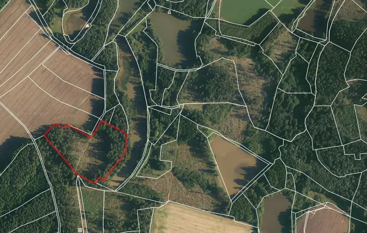 Prodej lesa, Nová Olešná, 22371 m2