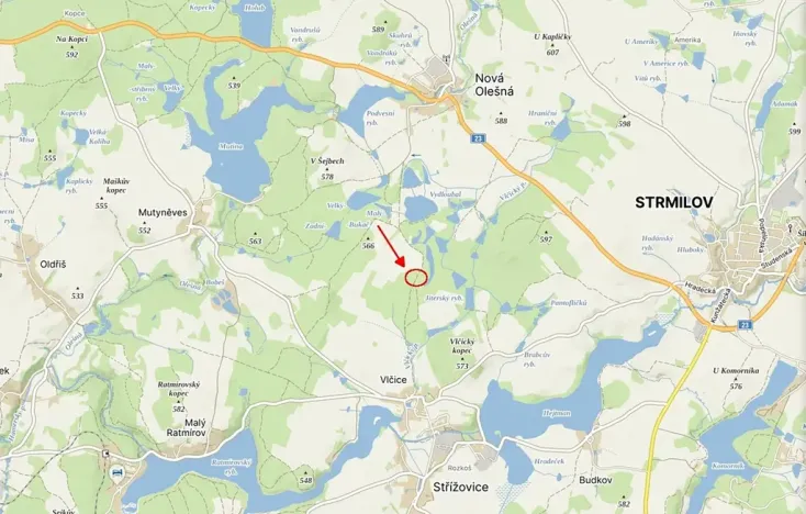 Prodej lesa, Nová Olešná, 22371 m2