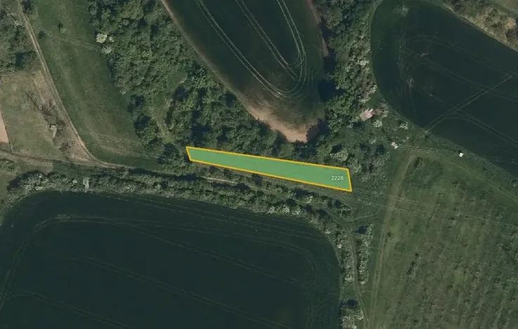 Prodej sadu/vinice, Svatobořice-Mistřín, 5062 m2