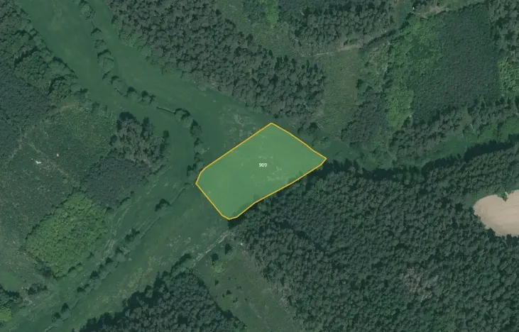 Prodej pole, Poběžovice, 64029 m2