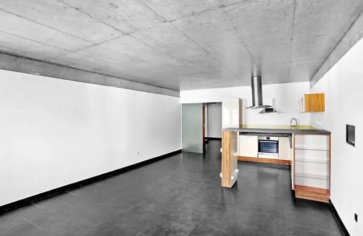 Prodej bytu 2+kk, České Budějovice, Rudolfovská tř., 98 m2