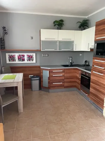 Pronájem bytu 1+kk, Olomouc, Mošnerova, 40 m2