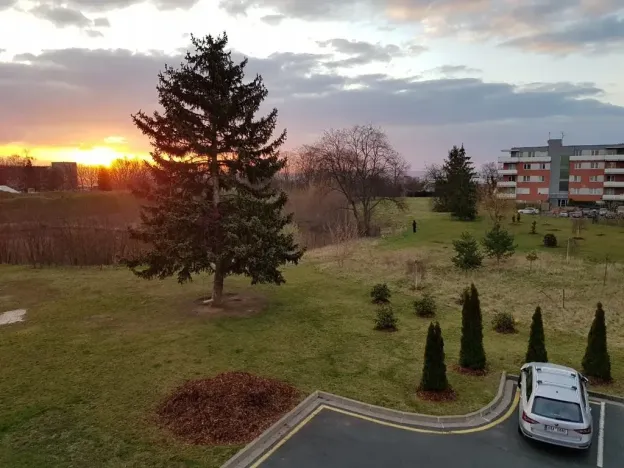 Pronájem bytu 1+kk, Olomouc, Mošnerova, 40 m2