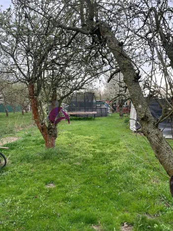 Prodej zahrady, Olomouc, 985 m2