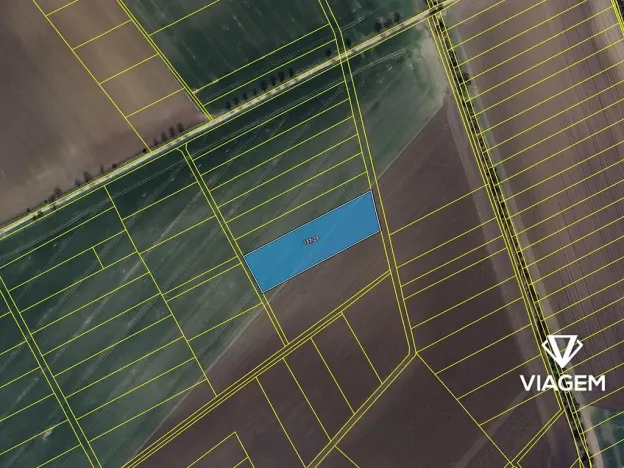 Prodej podílu pole, Třibřichy, 381 m2