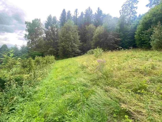 Dražba pozemku pro bydlení, Mladkov, 1004 m2