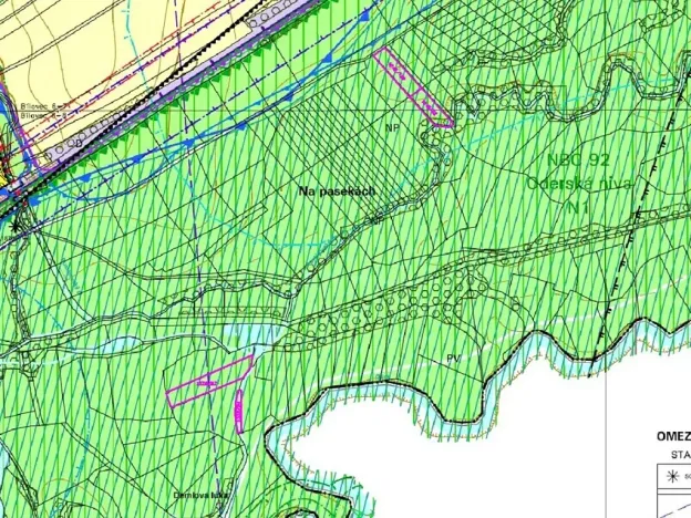 Dražba louky, Pustějov, 9886 m2
