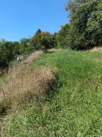 Prodej zahrady, Bojkovice, 1208 m2