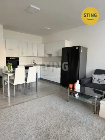 Pronájem bytu 2+kk, Ostrava, Důlní, 72 m2