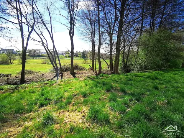 Prodej rodinného domu, Rozsochy, 371 m2