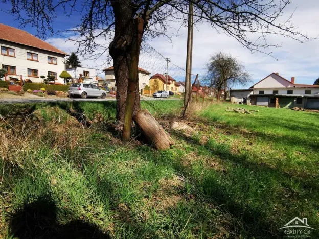 Prodej rodinného domu, Rozsochy, 371 m2
