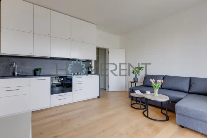 Pronájem bytu 2+kk, Praha - Řepy, U Lesoparku, 38 m2