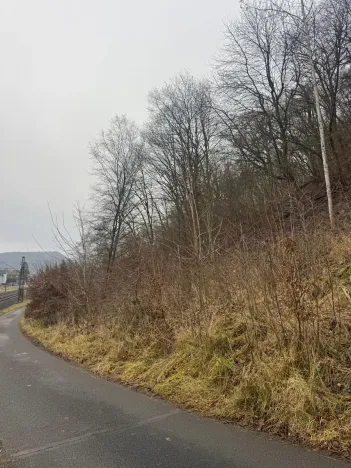 Prodej lesa, Ústí nad Labem, 41840 m2