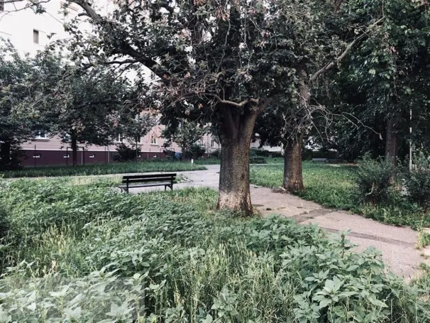 Pronájem bytu 4+1, Brno, Hoppova, 103 m2