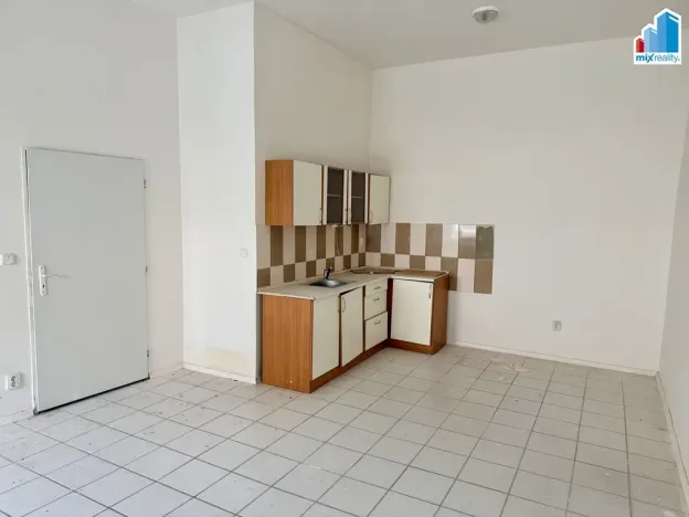 Prodej ubytování, Heřmanova Huť, Revoluční, 397 m2