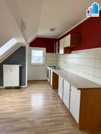 Prodej ubytování, Heřmanova Huť, Revoluční, 397 m2