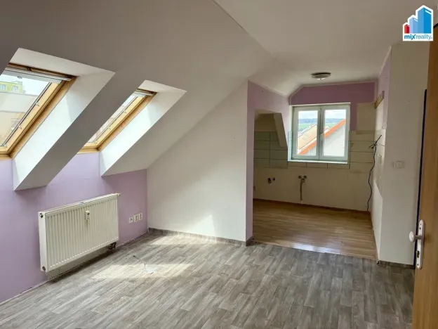 Prodej ubytování, Heřmanova Huť, Revoluční, 397 m2