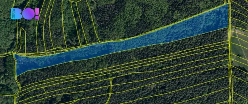 Prodej lesa, Kaňovice, 25807 m2