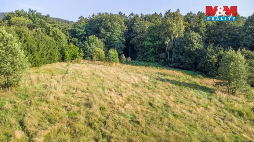 Prodej louky, Nový Bor - Janov, 5500 m2