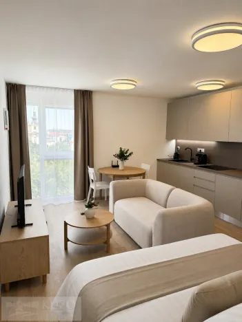 Prodej bytu 1+kk, Brno, Auerswaldova, 35 m2