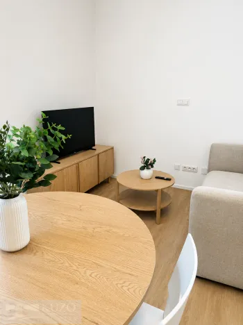 Prodej bytu 1+kk, Brno, Auerswaldova, 35 m2