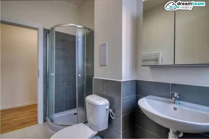 Prodej bytu 2+kk, Ostrava - Přívoz, Palackého, 44 m2