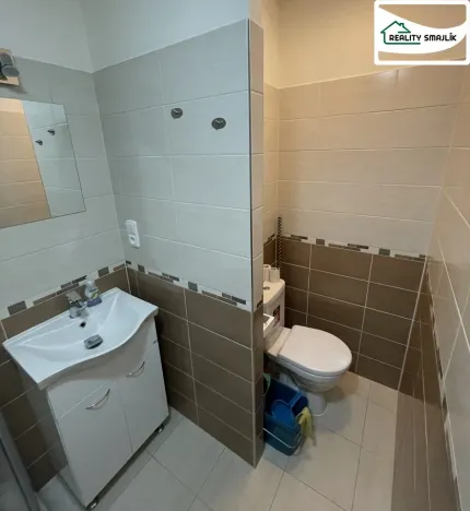 Pronájem bytu 2+1, Cheb, 17. listopadu, 49 m2