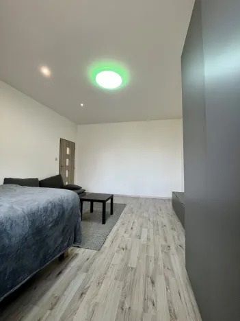 Pronájem bytu 1+1, Ostrava - Zábřeh, Březinova, 41 m2