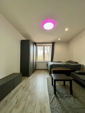 Pronájem bytu 1+1, Ostrava - Zábřeh, Březinova, 41 m2