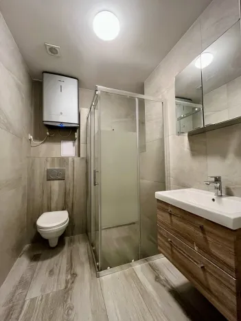 Pronájem bytu 1+1, Ostrava - Zábřeh, Březinova, 41 m2