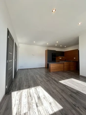 Pronájem bytu 3+kk, Ostrava - Heřmanice, Koněvova, 59 m2