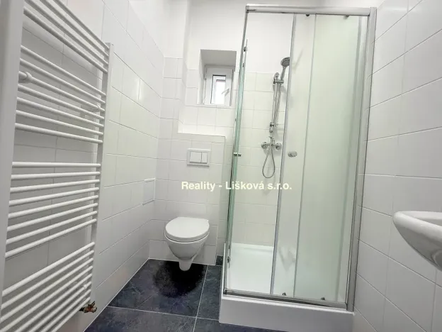 Prodej bytu 2+kk, Ústí nad Labem - Střekov, Purkyňova, 48 m2