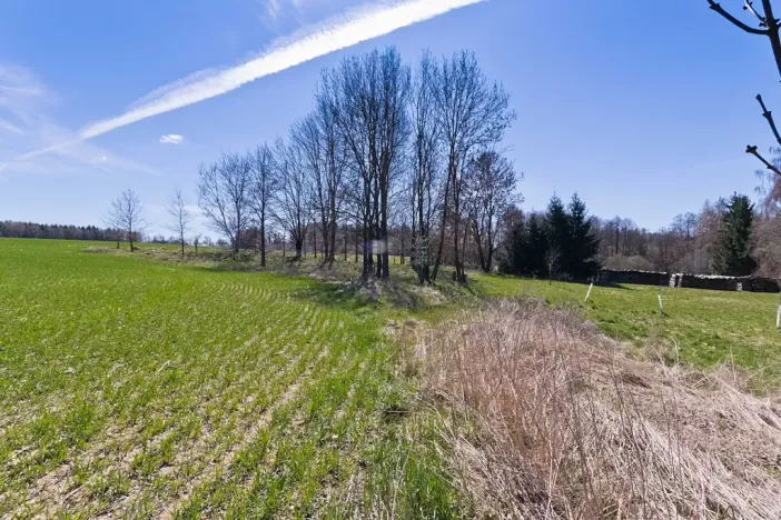 Prodej chalupy, Střížovice, 275 m2