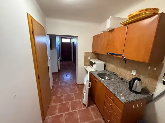 Pronájem rodinného domu, Šlapanice, Čechova, 200 m2