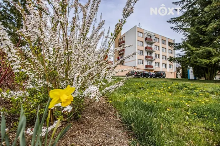 Prodej bytu 3+1, Borovany, Nová, 65 m2