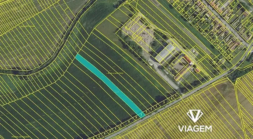 Prodej pole, Josefov, 3812 m2