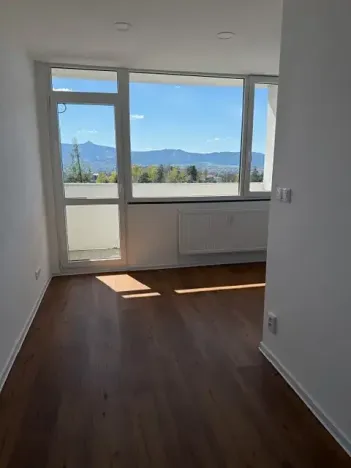 Pronájem bytu 1+kk, Liberec, Březová alej, 22 m2