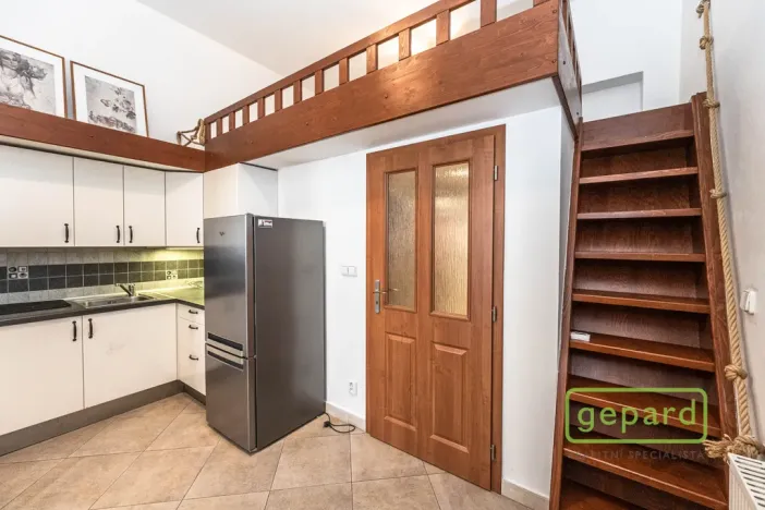 Pronájem bytu 1+kk, Praha, Radlická, 38 m2