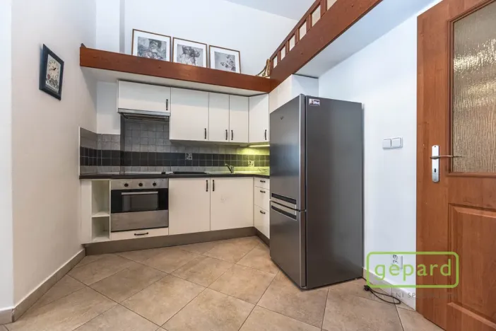 Pronájem bytu 1+kk, Praha, Radlická, 38 m2