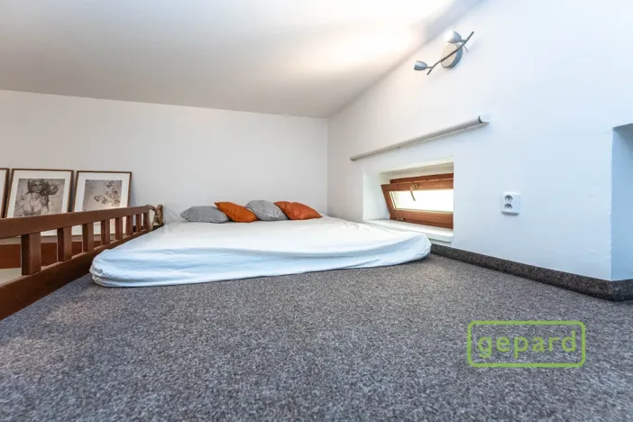 Pronájem bytu 1+kk, Praha, Radlická, 38 m2