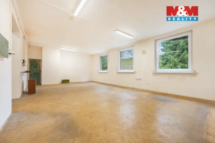 Pronájem výrobních prostor, Domažlice - Bezděkovské Předměstí, Masarykova, 770 m2